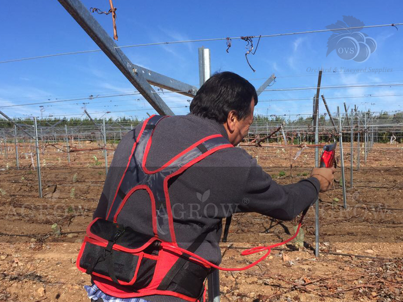 AGROW ELECTRIC SCISSORS FOR GRAPE PRODUCERS 